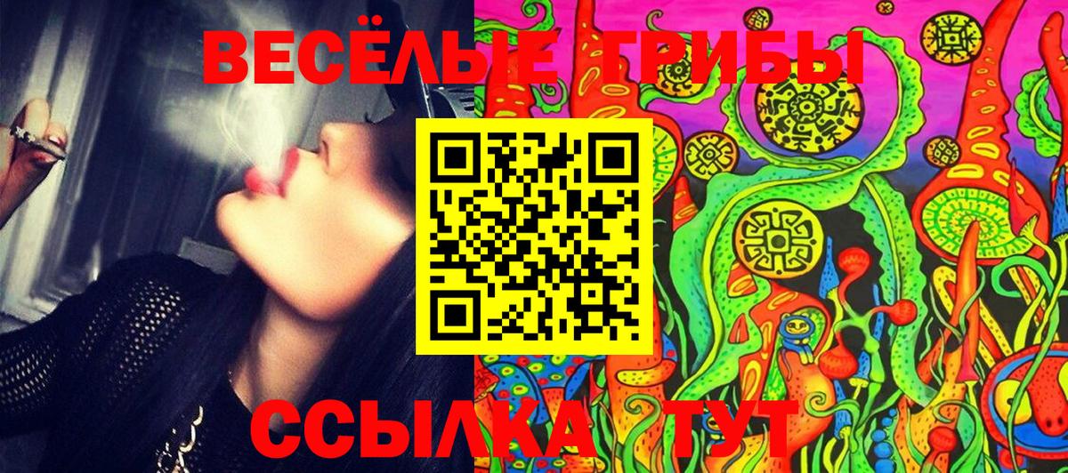 Саяногорск  Галлюциногенные грибы мухоморы  Вход с VPN 