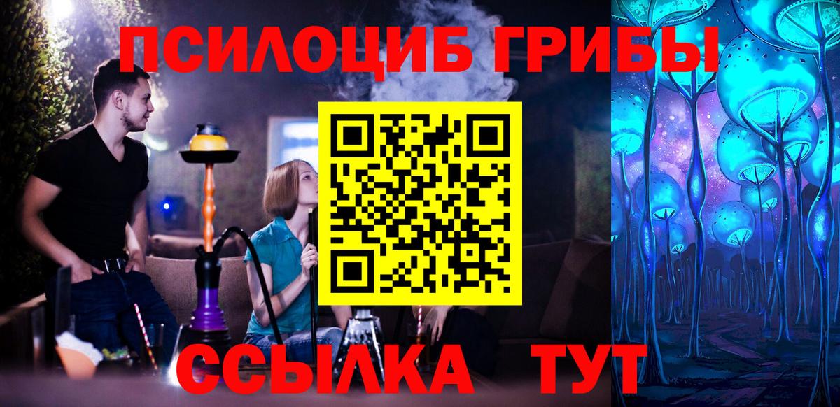 Псилоцибиновые грибы мицелий Саяногорск
