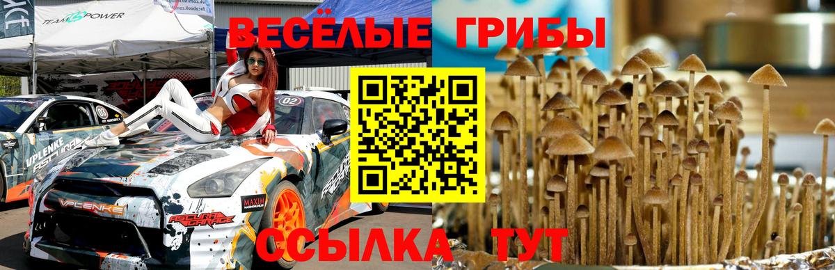 COCAIN  Саяногорск  НБОМе  Вход с VPN  Мефедрон  Гашиш  A PVP СОЛЬ кристаллы  Меф МЯУ МЯУ кристаллы  ЭКСТАЗИ 
